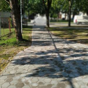 IMG_20190816_083545