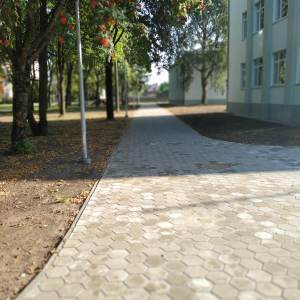 IMG_20190816_083820