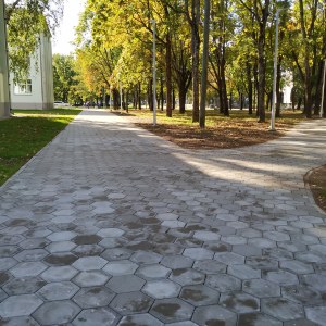 IMG_20190926_125652