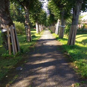 IMG_20180824_100535